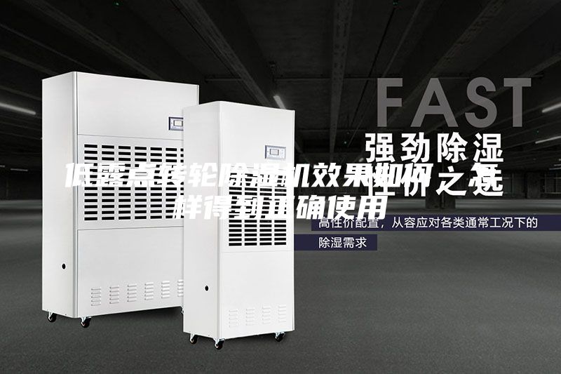 低露點轉輪除濕機效果如何，怎樣得到正確使用