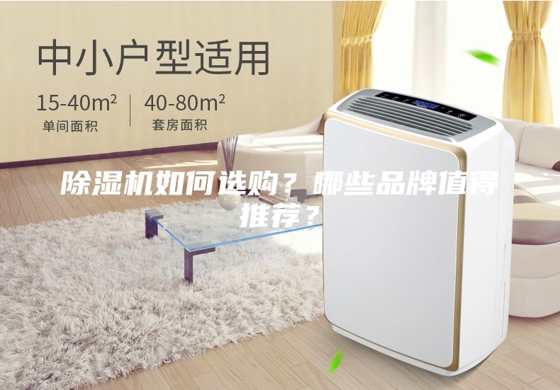 除濕機(jī)如何選購？哪些品牌值得推薦？