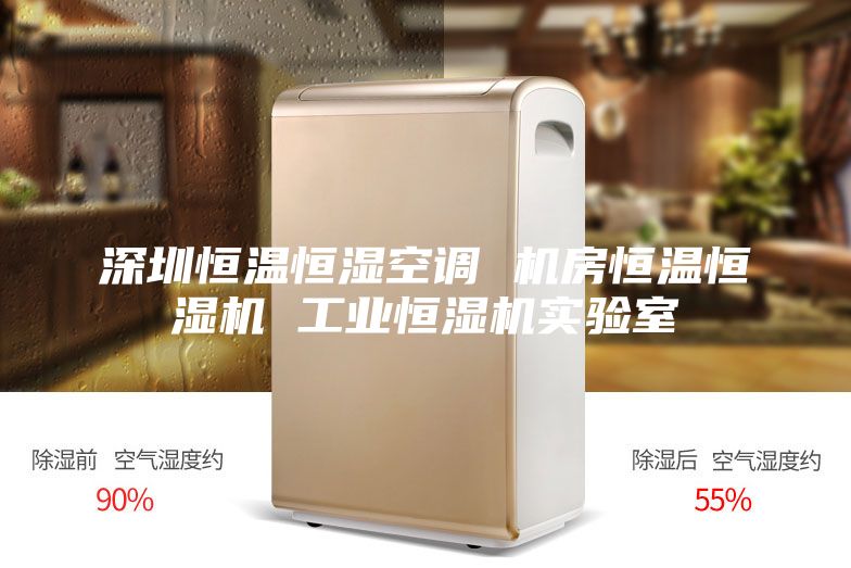 深圳恒溫恒濕空調(diào) 機(jī)房恒溫恒濕機(jī) 工業(yè)恒濕機(jī)實(shí)驗(yàn)室