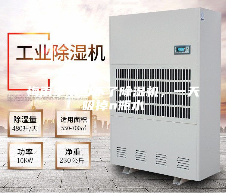 梅雨季節(jié)少不了除濕機，一天吸掉n瓶水
