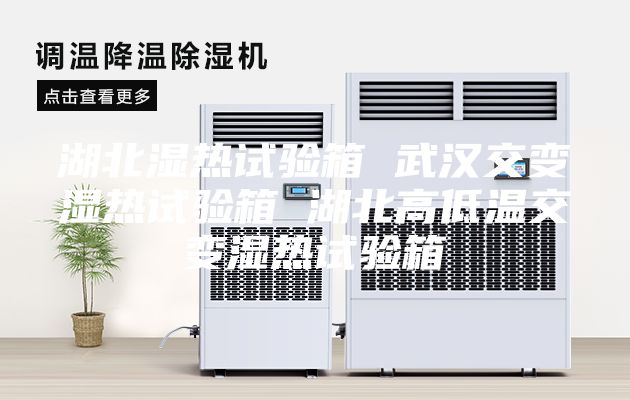 湖北濕熱試驗(yàn)箱 武漢交變濕熱試驗(yàn)箱 湖北高低溫交變濕熱試驗(yàn)箱