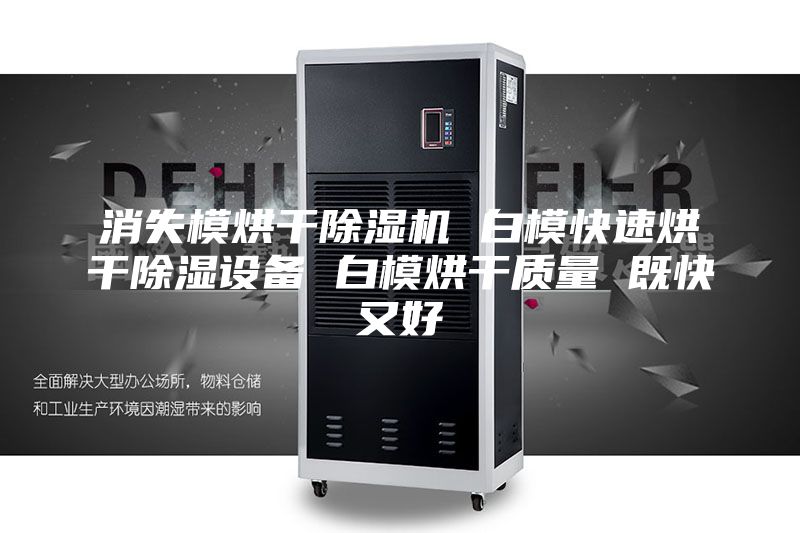 消失模烘干除濕機(jī) 白?？焖俸娓沙凉裨O(shè)備 白模烘干質(zhì)量 既快又好