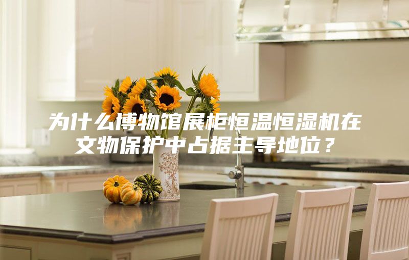 為什么博物館展柜恒溫恒濕機在文物保護中占據(jù)主導(dǎo)地位？