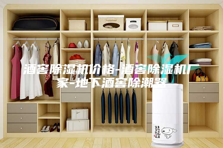 酒窖除濕機價格-酒窖除濕機廠家-地下酒窖除潮器