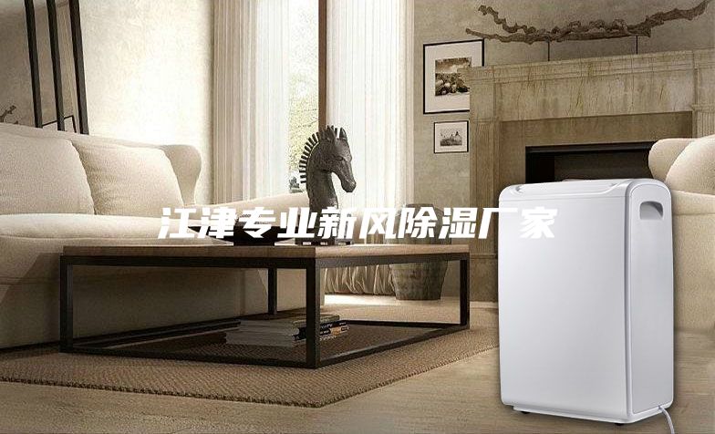 江津?qū)I(yè)新風(fēng)除濕廠家