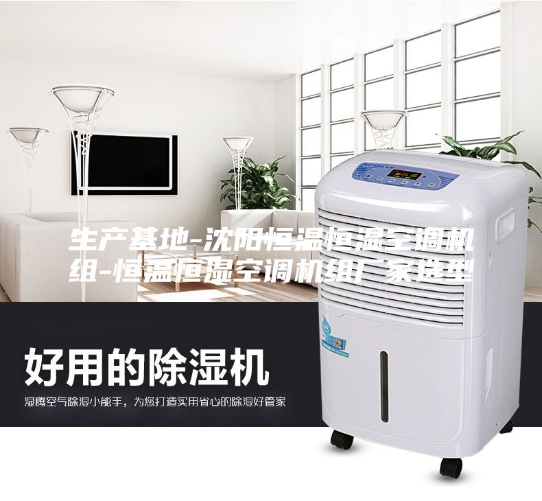 生產(chǎn)基地-沈陽恒溫恒濕空調(diào)機(jī)組-恒溫恒濕空調(diào)機(jī)組廠家選型