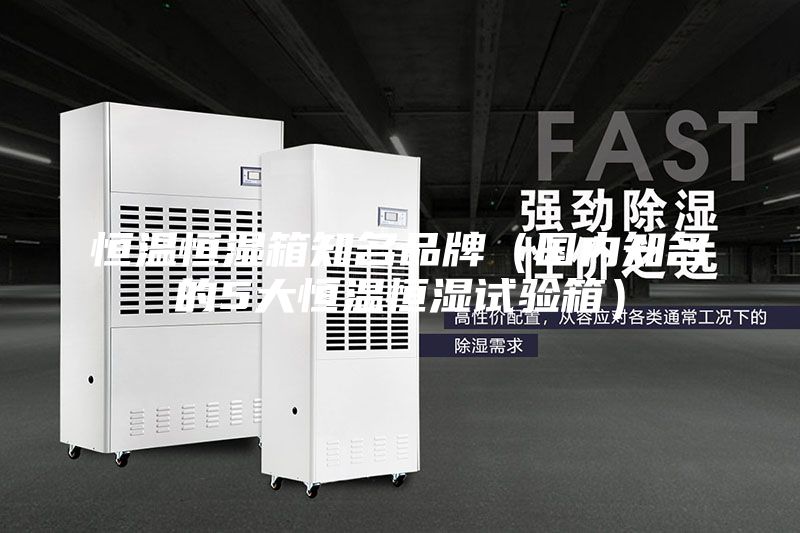 恒溫恒濕箱知名品牌（國內知名的5大恒溫恒濕試驗箱）