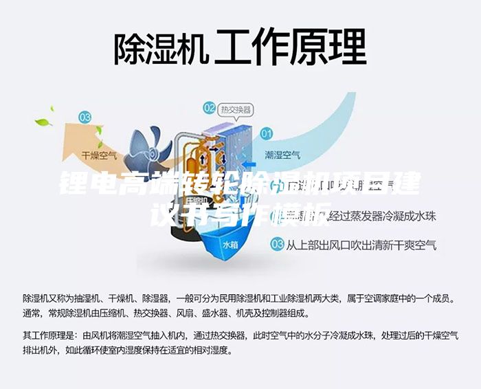 鋰電高端轉輪除濕機項目建議書寫作模板