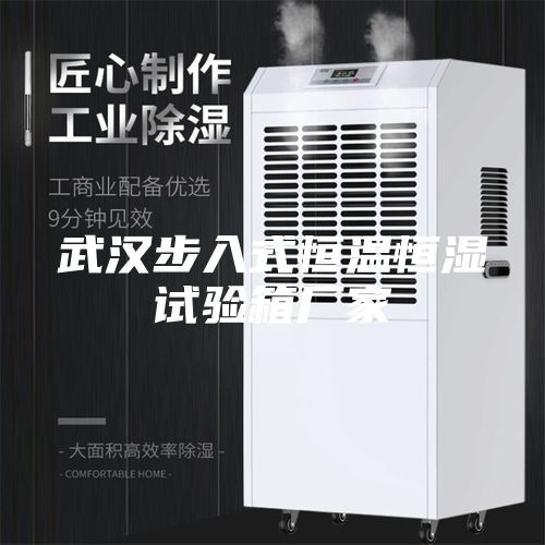 武漢步入式恒溫恒濕試驗箱廠家