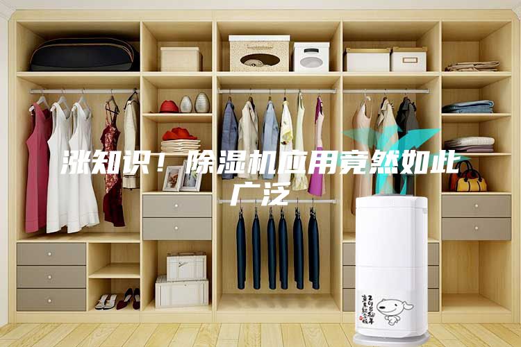漲知識！除濕機應用竟然如此廣泛