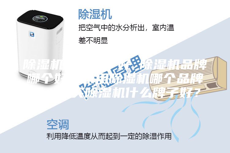 除濕機哪個牌子好 除濕機品牌哪個好？家用除濕機哪個品牌好，想買除濕機什么牌子好？