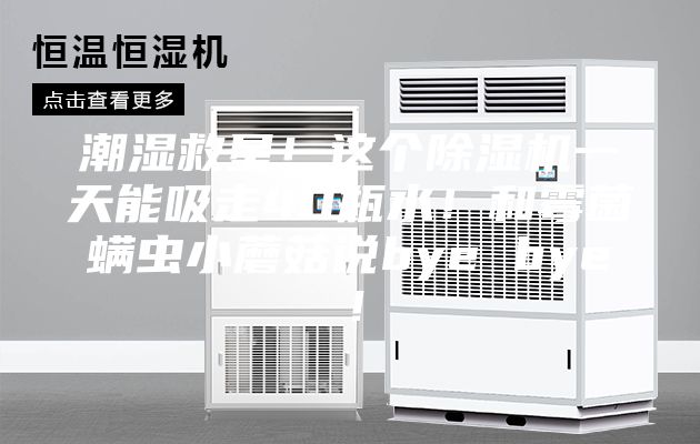 潮濕救星！這個除濕機(jī)一天能吸走40瓶水！和霉菌螨蟲小蘑菇說bye bye！