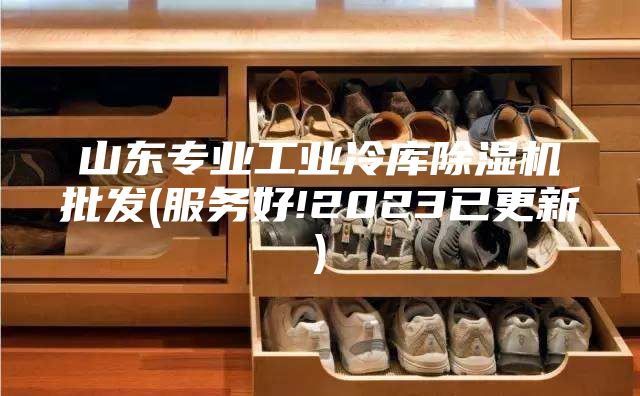 山東專業工業冷庫除濕機批發(服務好!2023已更新)