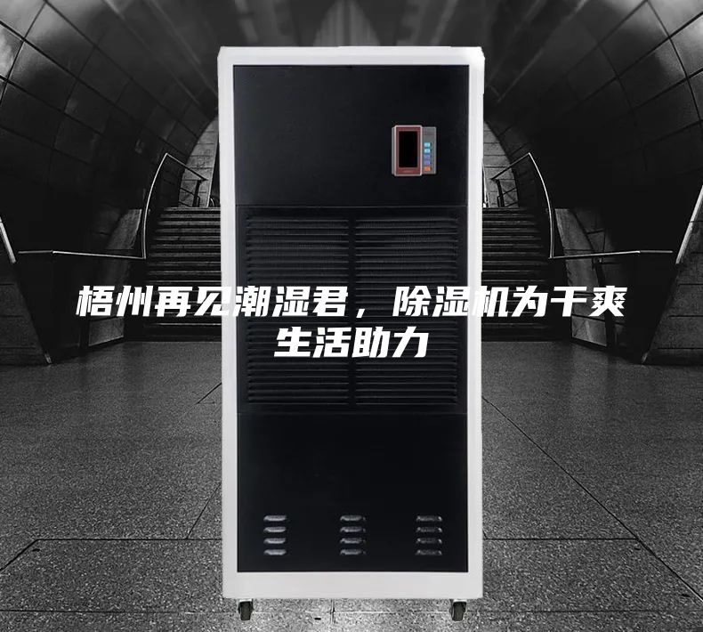 梧州再見潮濕君，除濕機為干爽生活助力