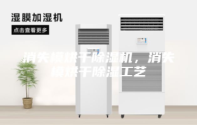 消失模烘干除濕機(jī)，消失模烘干除濕工藝