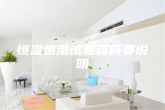 恒溫恒濕試驗箱簡要說明