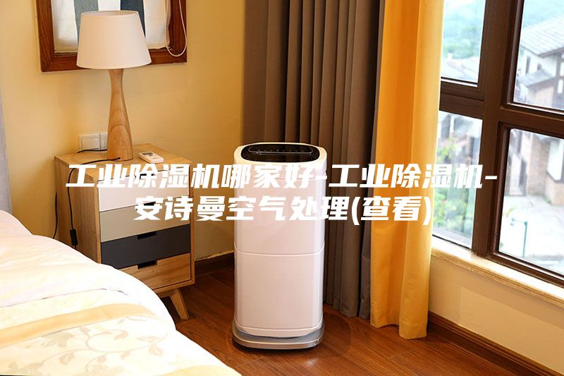 工業除濕機哪家好-工業除濕機-安詩曼空氣處理(查看)