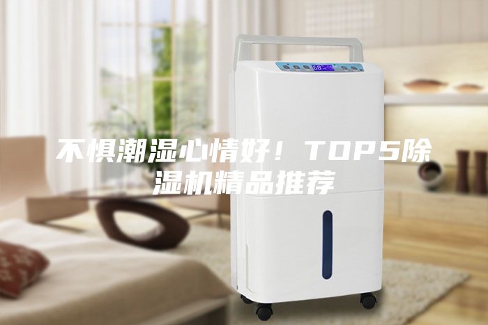 不懼潮濕心情好！TOP5除濕機(jī)精品推薦