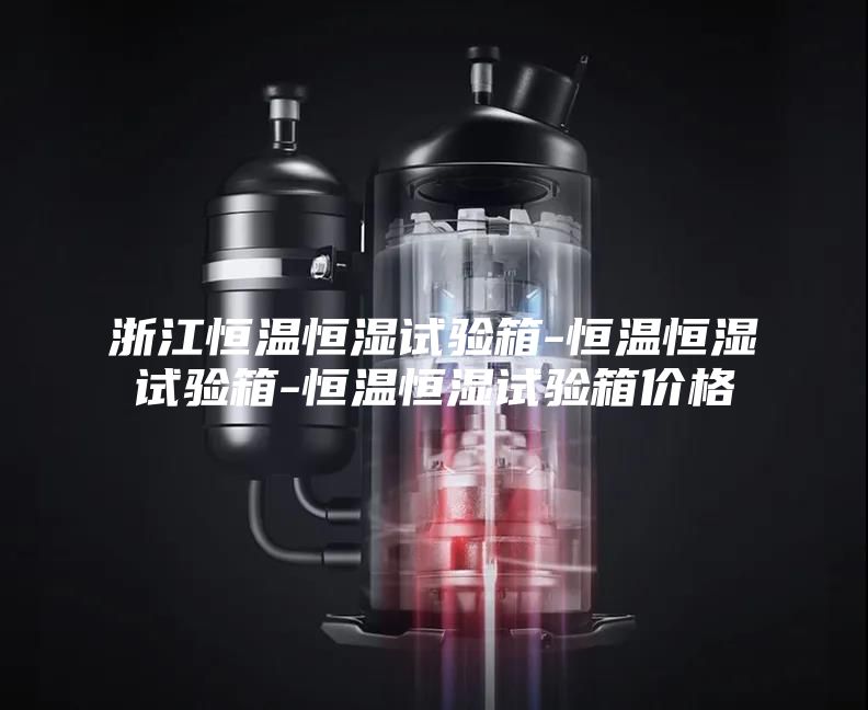 浙江恒溫恒濕試驗箱-恒溫恒濕試驗箱-恒溫恒濕試驗箱價格