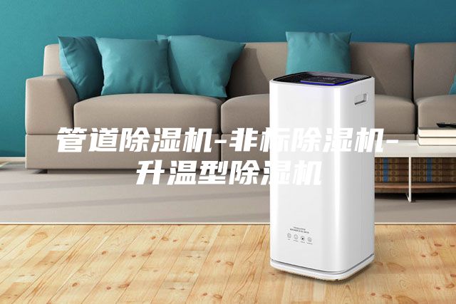 管道除濕機-非標除濕機-升溫型除濕機