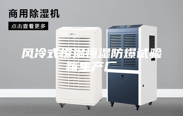 風(fēng)冷式恒溫恒濕防爆試驗(yàn)箱生產(chǎn)廠