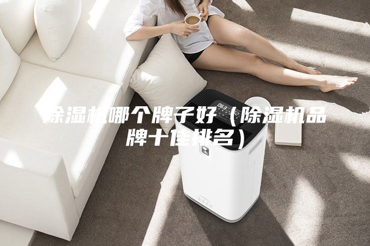除濕機哪個牌子好（除濕機品牌十佳排名）