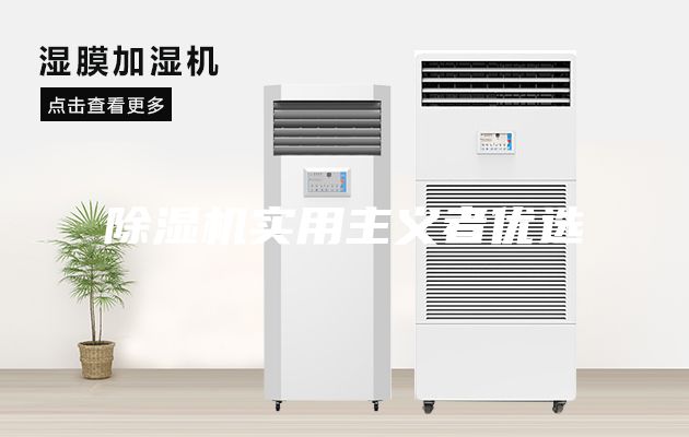 除濕機實用主義者優選