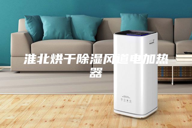 淮北烘干除濕風道電加熱器