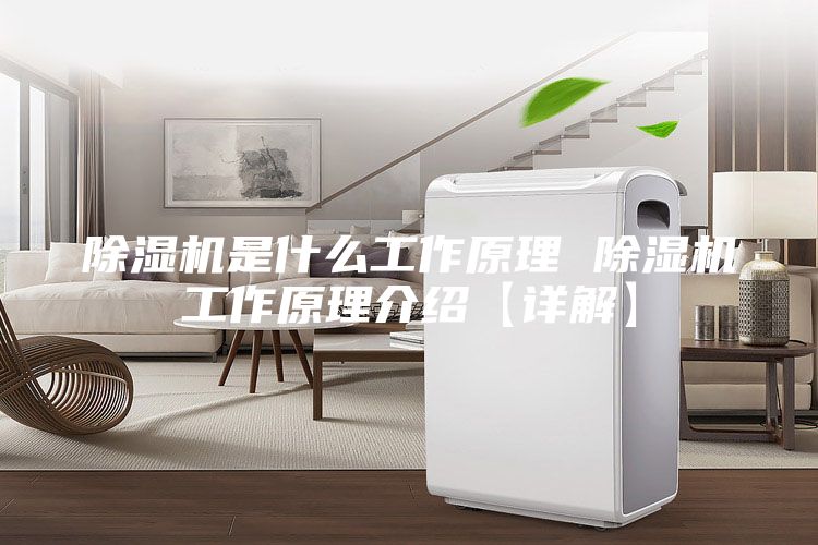 除濕機是什么工作原理 除濕機工作原理介紹【詳解】