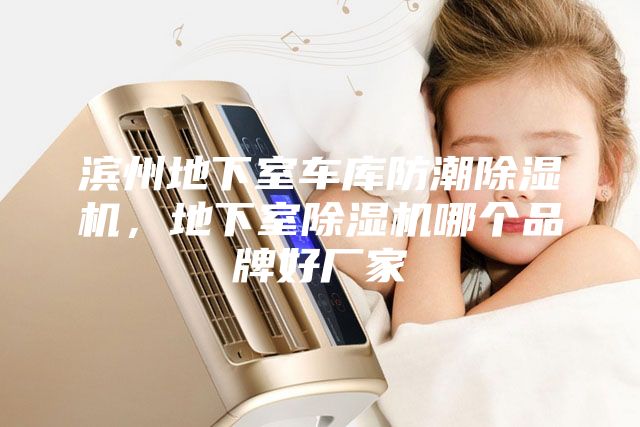濱州地下室車庫防潮除濕機，地下室除濕機哪個品牌好廠家
