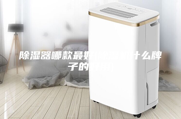 除濕器哪款最好(除濕機什么牌子的好用)