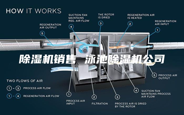 除濕機(jī)銷售 泳池除濕機(jī)公司