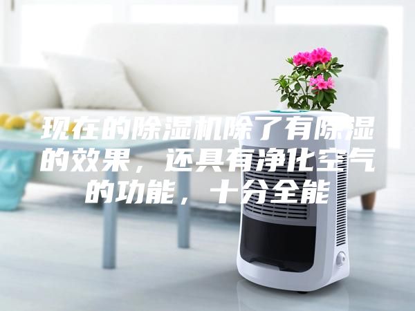 現在的除濕機除了有除濕的效果，還具有凈化空氣的功能，十分全能