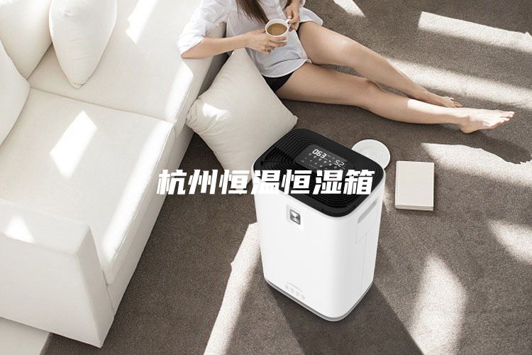 杭州恒溫恒濕箱