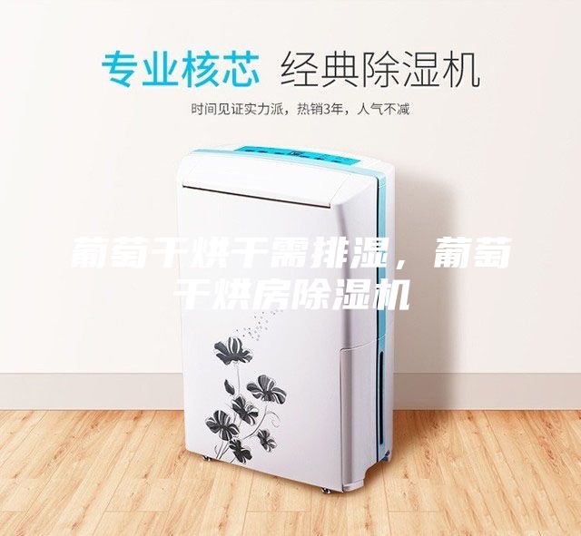 葡萄干烘干需排濕，葡萄干烘房除濕機