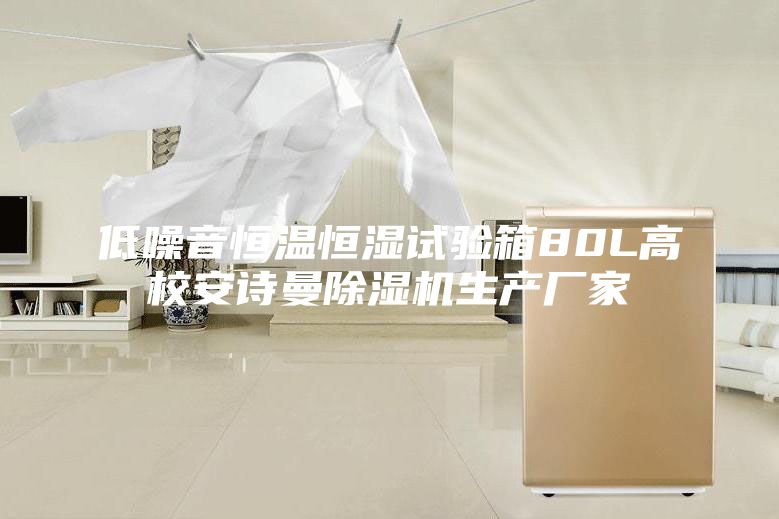 低噪音恒溫恒濕試驗箱80L高校安詩曼除濕機(jī)生產(chǎn)廠家