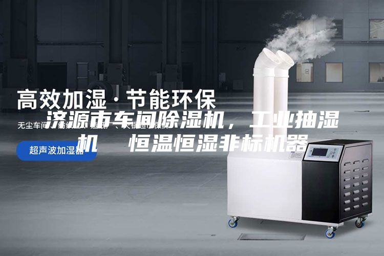 濟(jì)源市車間除濕機(jī)，工業(yè)抽濕機(jī)  恒溫恒濕非標(biāo)機(jī)器