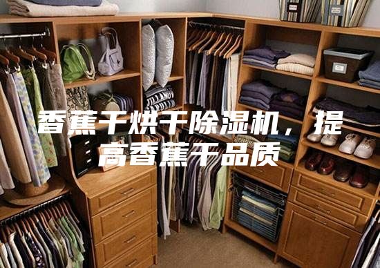 香蕉干烘干除濕機(jī)，提高香蕉干品質(zhì)