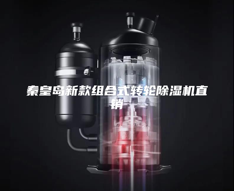 秦皇島新款組合式轉(zhuǎn)輪除濕機(jī)直銷