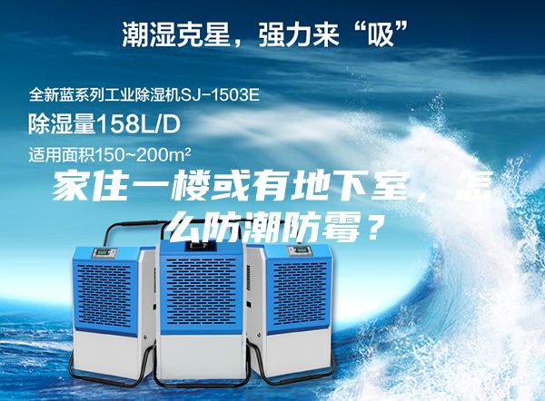 家住一樓或有地下室，怎么防潮防霉？