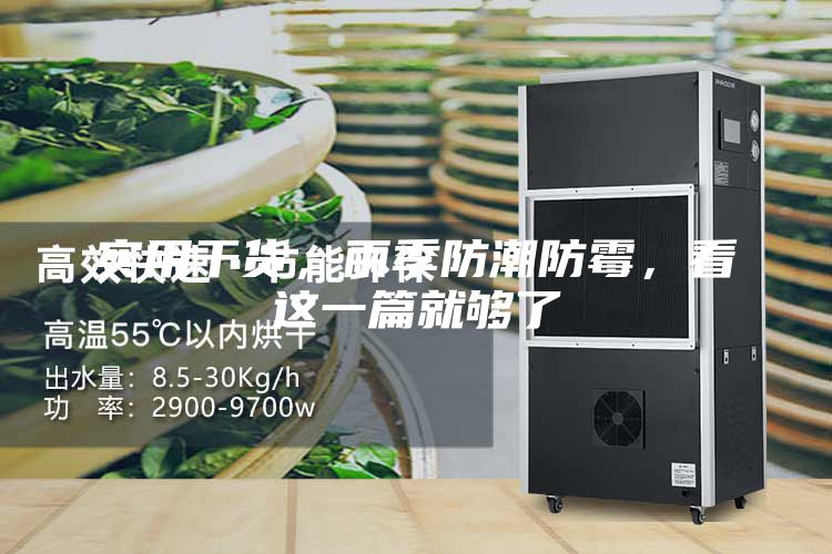 實用干貨，雨季防潮防霉，看這一篇就夠了