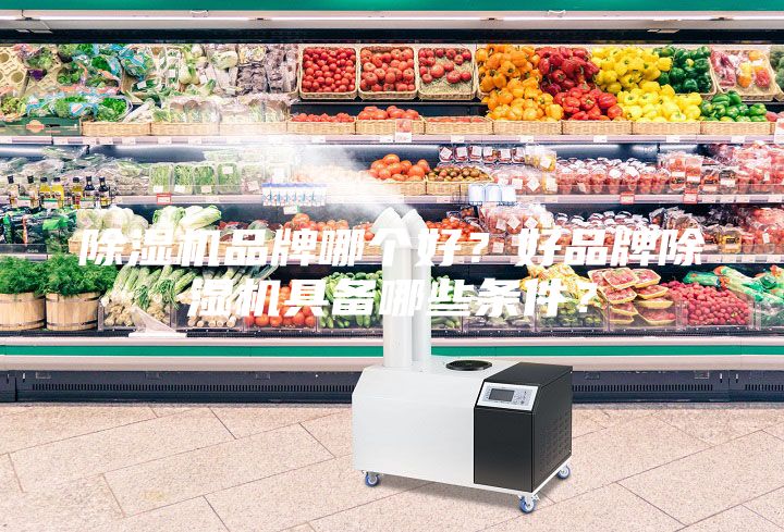 除濕機(jī)品牌哪個(gè)好？好品牌除濕機(jī)具備哪些條件？
