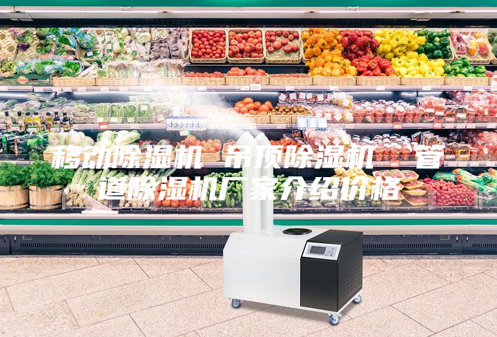 移動除濕機 吊頂除濕機  管道除濕機廠家介紹價格