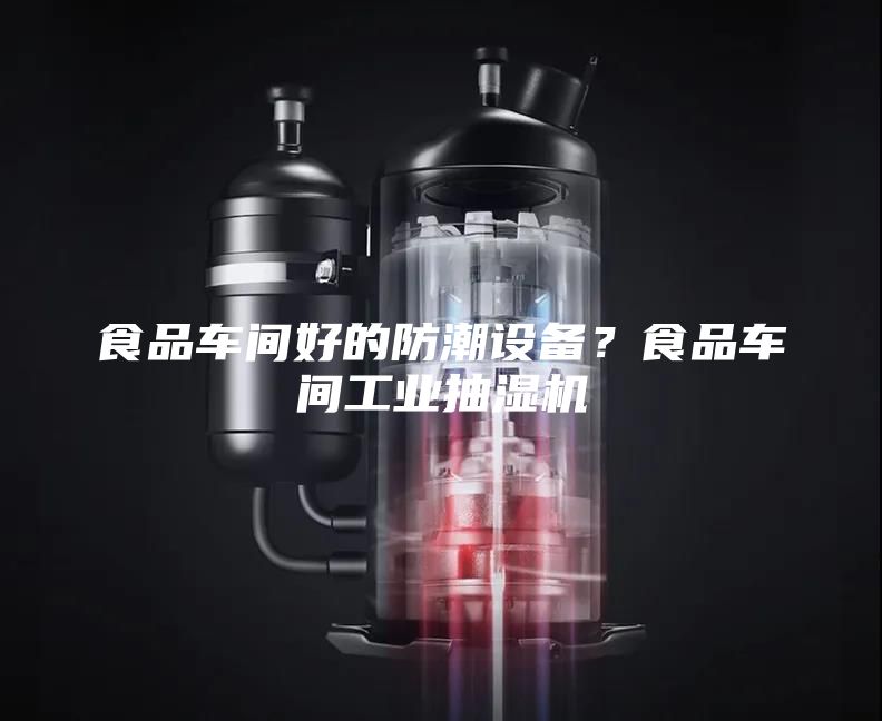 食品車間好的防潮設(shè)備？食品車間工業(yè)抽濕機