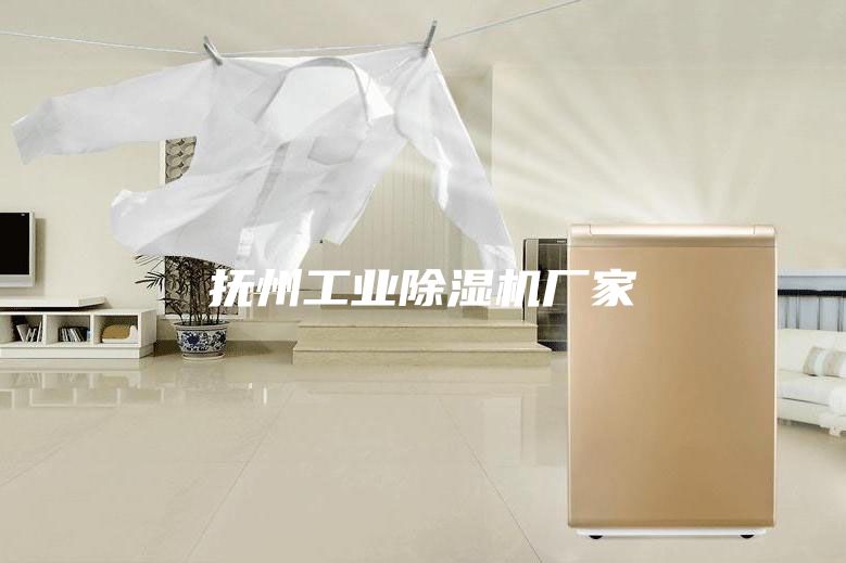 撫州工業(yè)除濕機(jī)廠家