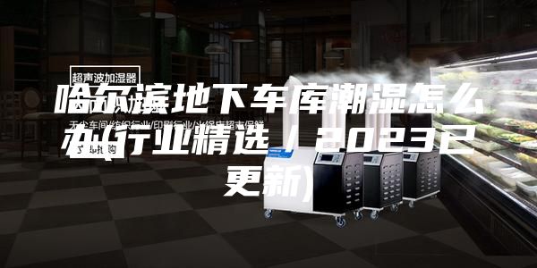 哈爾濱地下車(chē)庫(kù)潮濕怎么辦(行業(yè)精選／2023已更新)
