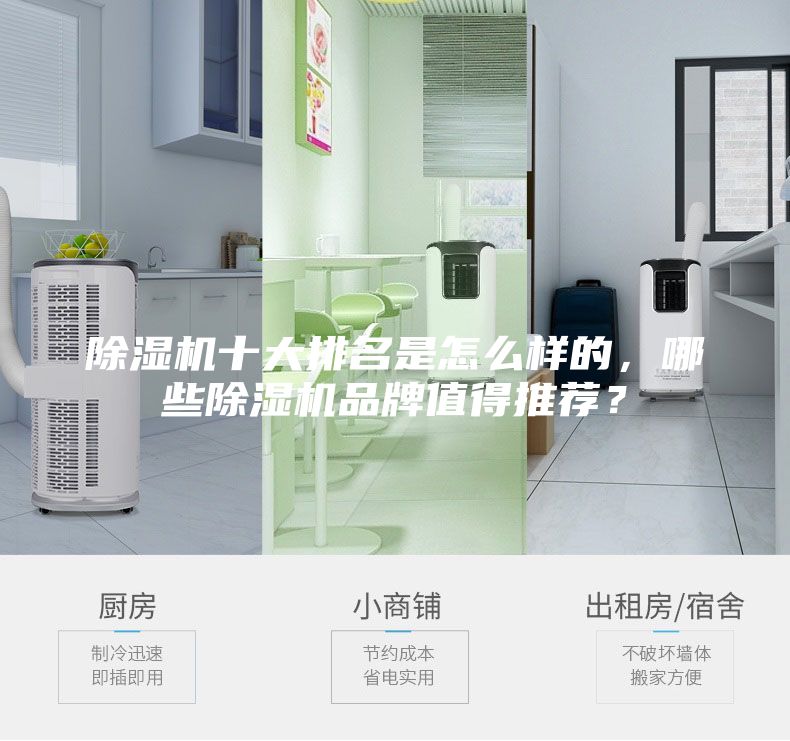 除濕機(jī)十大排名是怎么樣的，哪些除濕機(jī)品牌值得推薦？