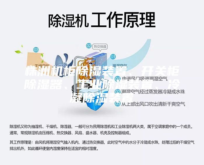 株洲機柜除濕裝置、開關(guān)柜除濕器、工業(yè)除濕裝置、冷凝除濕裝置