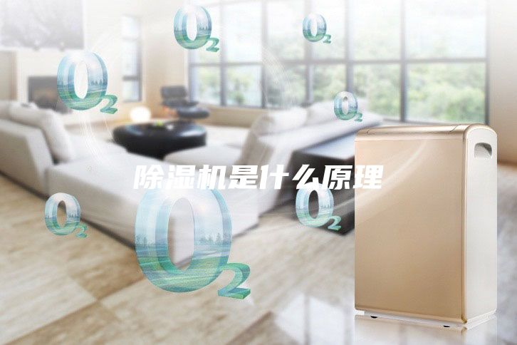 除濕機(jī)是什么原理