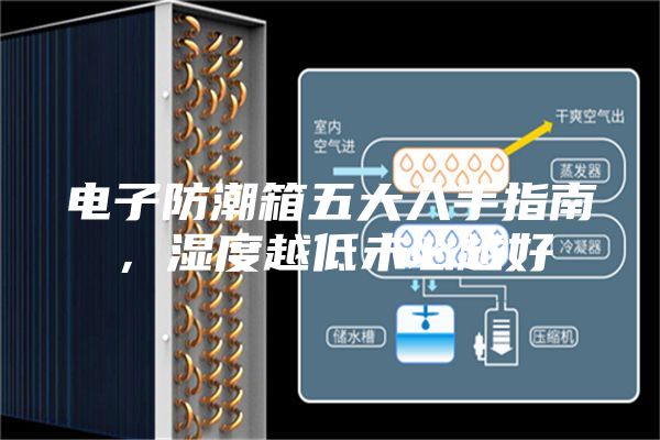 電子防潮箱五大入手指南，濕度越低未必越好